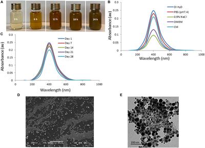 Synthesis, Characterization, Antibacterial and Wound Healing Efficacy of Silver Nanoparticles From Azadirachta indica